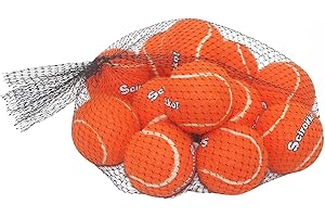 Ready, Set, Fetch! Squeaky Tennis Balls for Canine Companions