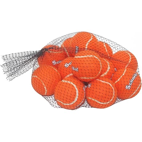 Ready, Set, Fetch! Squeaky Tennis Balls for Canine Companions