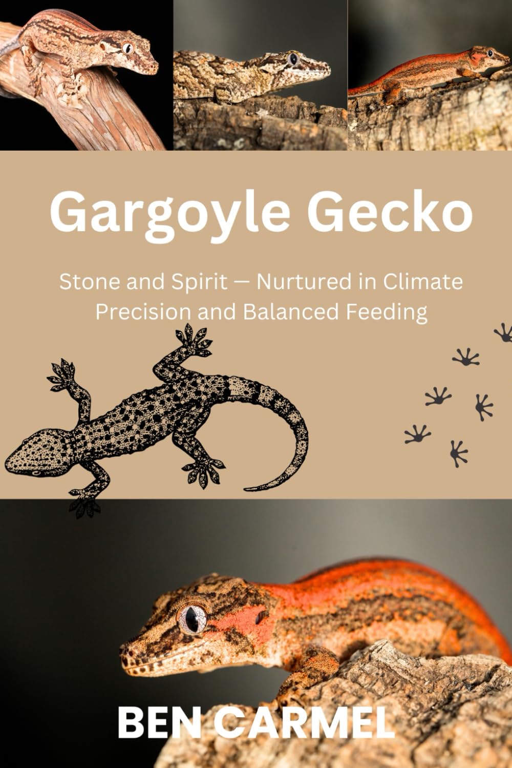 GARGOYLE GECKO: Stone and Spirit — Nurtured in Climate Precision and Balanced Feeding