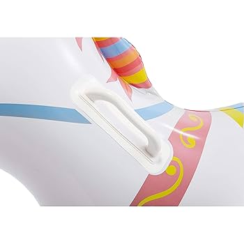 Amazon | INTEX(インテックス) 浮き輪 フロート プリンセス