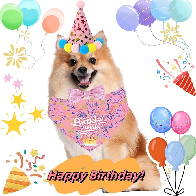 Kit de Fiesta de Cumpleaños para Perro - Sombrero, Bandana, Corbatín y Guirnalda miniatura 5