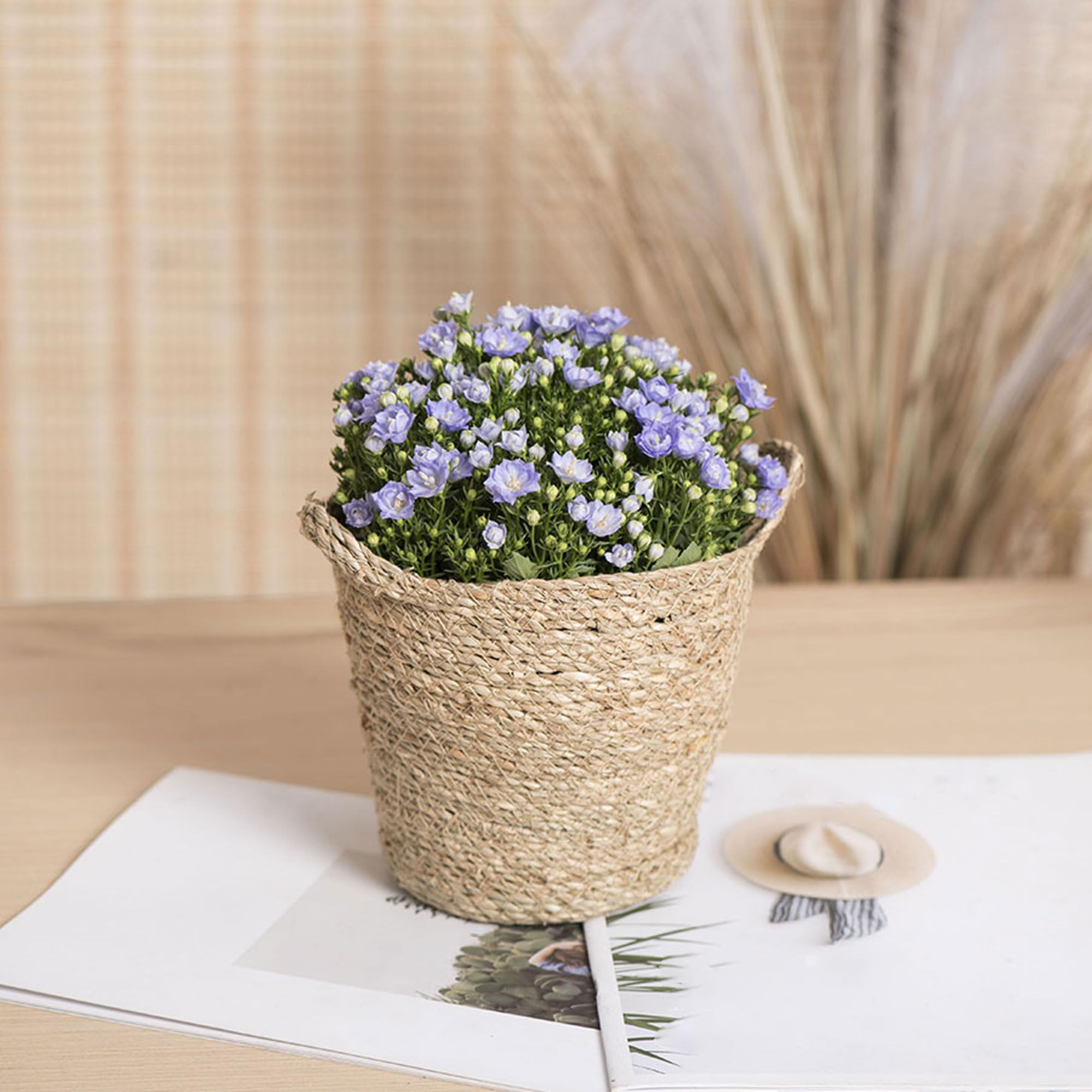 Set de 1 Pot Intérieur en Jonc avec Doublure Plastique, Panier Tressé en Osier pour Plantes Intérieur Extérieur, Déco Rustique Ferme Maison Jardin