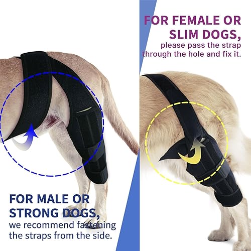 Miniatura 3 de Rodillera para perro ACL, envoltura de apoyo para piernas caninas, color negro (M)