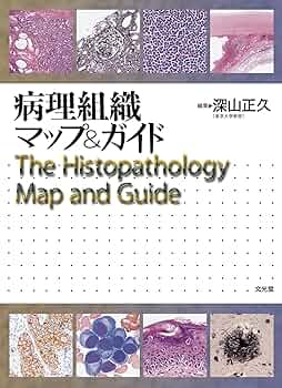 Amazon.co.jp: 病理組織マップ&ガイド : 深山 正久: 本