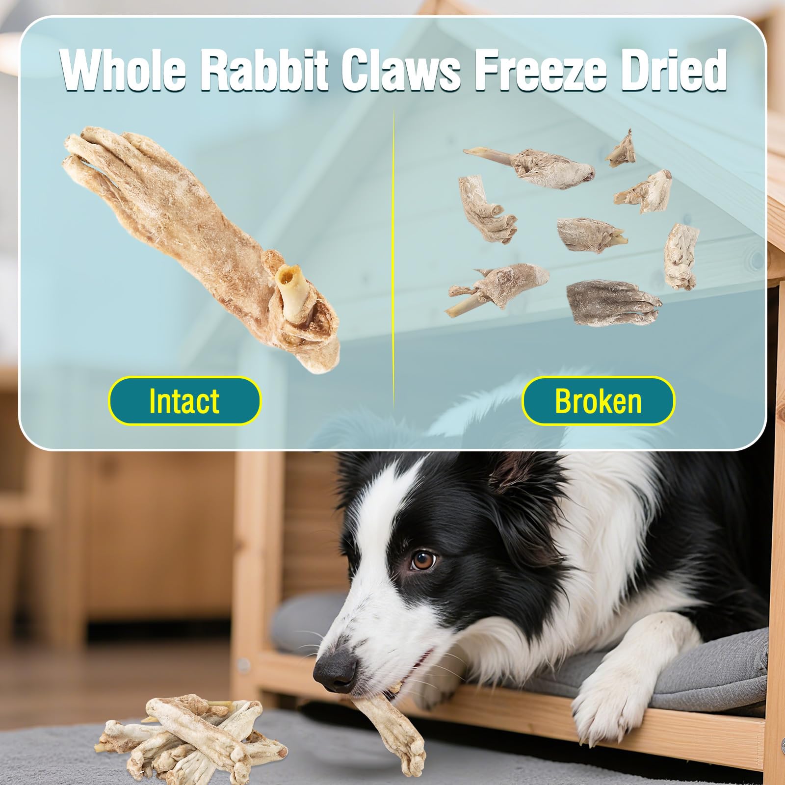 Friandises pour Chiens à Base de Pattes de Lapin lyophilisées Friandises à mâcher Naturelles sans céréales pour Chiens Single-Ingredient, High-Protein Snacks,Hypoallergenic (50g/1.76oz)