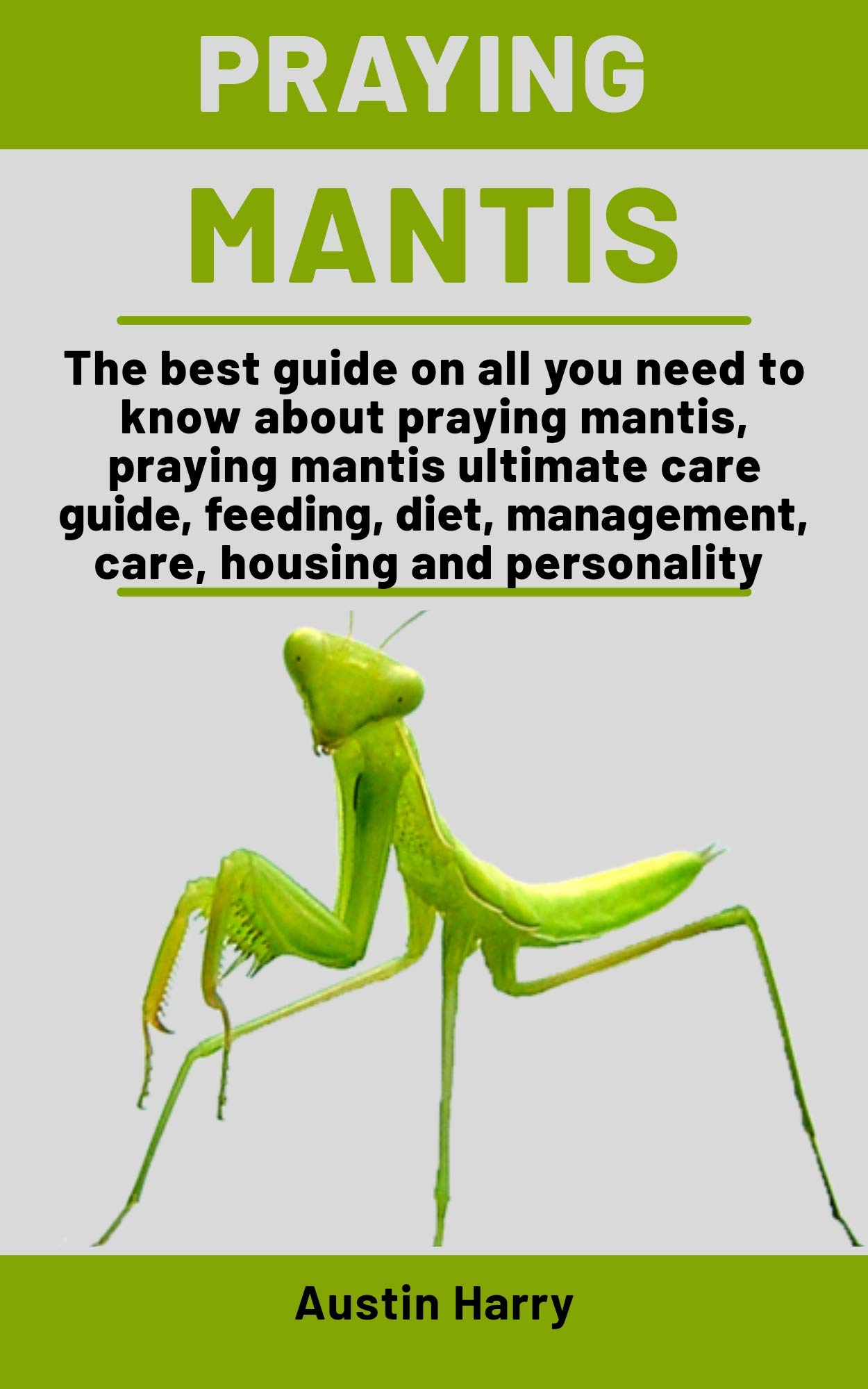 Buy Praying Mantis The best guide on all you need to know about