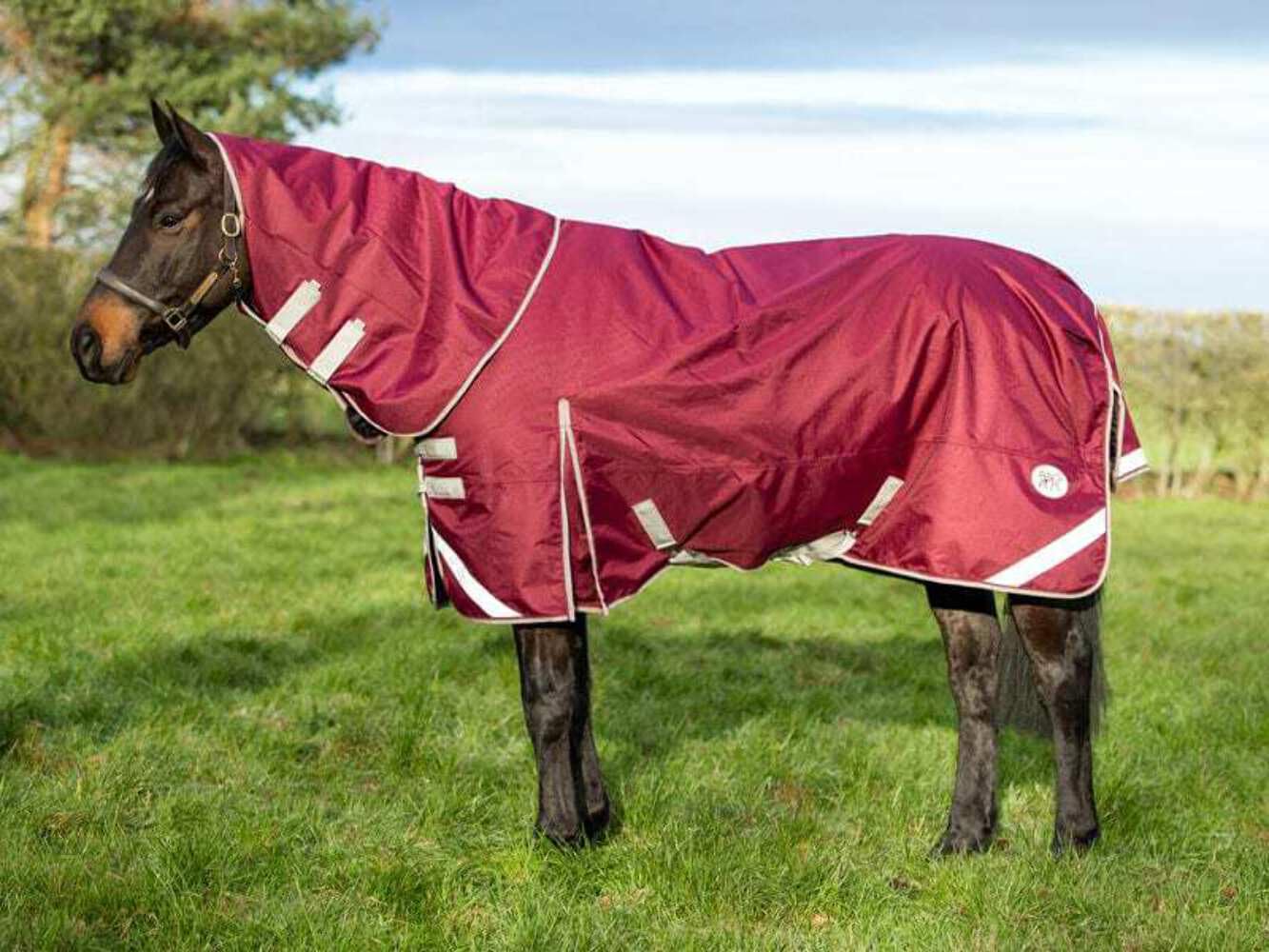 Swish Equestrian 200G Detachable Neck Turnout Rug - Peppermint 1200denier