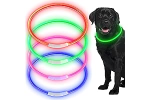 4 Piece High-Visibility LED Dog Collars for Day and Night Safety