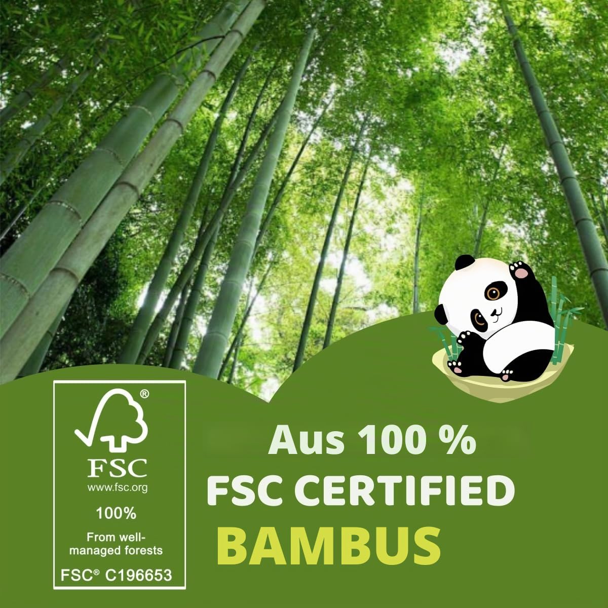 Bambus Taschentücher Box 12 Packungen – 135 Tücher pro Box, 2-lagig, ungebleicht und plastikfrei – Weiche Kosmetiktücher aus nachhaltigem Bambus für sensible Haut, hohe Reißfestigkeit, großes Volumen