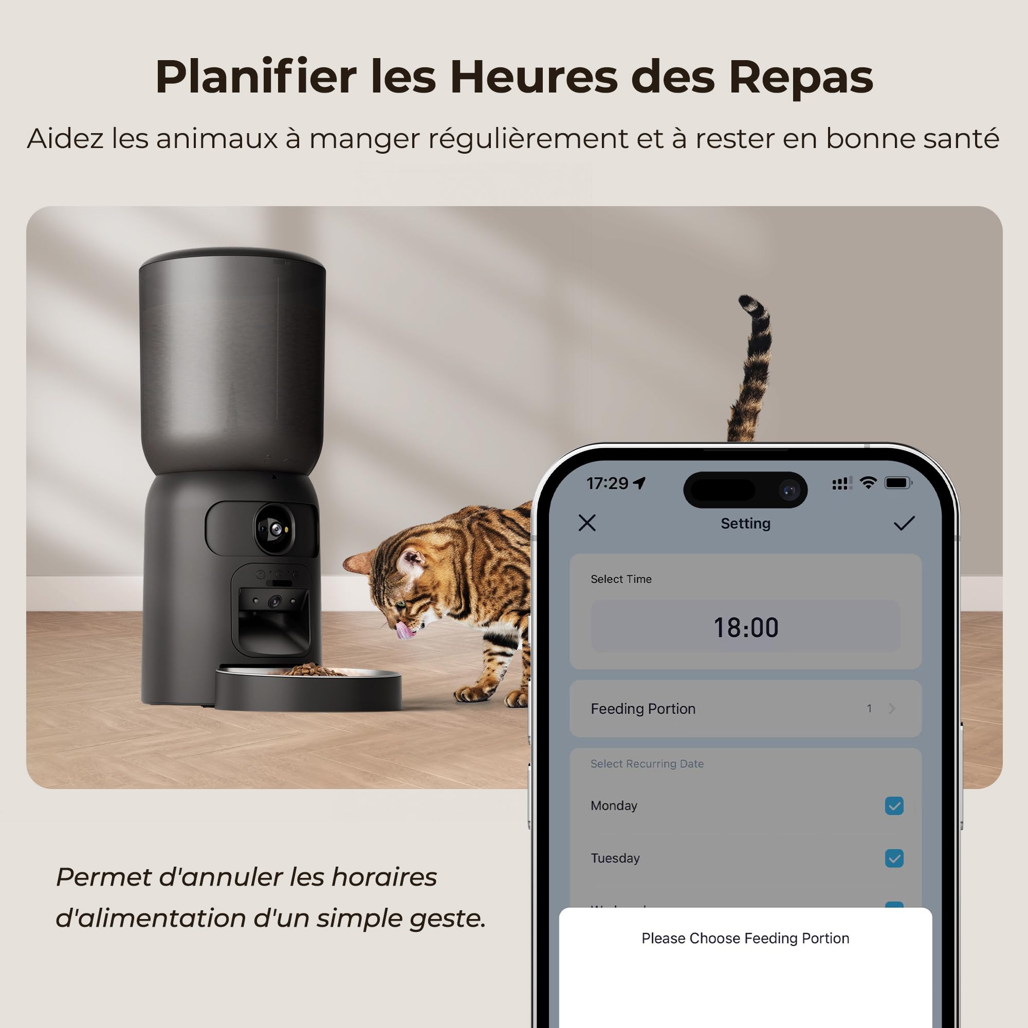 Distributeur Croquettes Chat Automatique, WiFi Caméra, Bol Inoxydable, Programmable & Portionnée, Batterie de Secour - PF4 Noir - Vision Suivi, Mode de Repas Lent