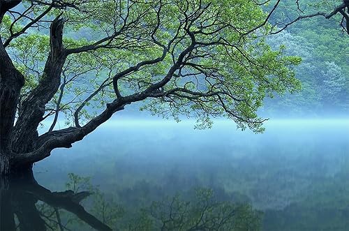 Miniatura 7 de Papel tapiz autoadhesivo con diseño de paisaje y lago de naturaleza verde, autoadhesivo, extraíble, papel de aluminio grande para decoración de pared