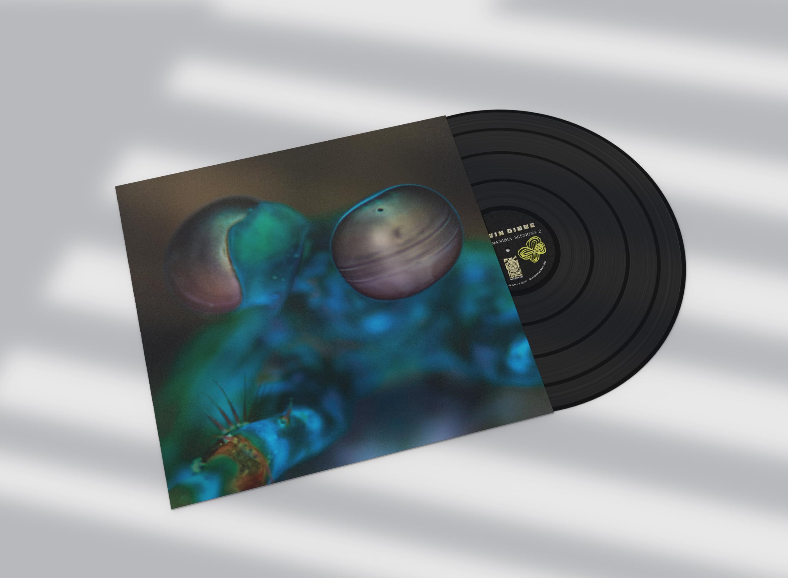GIBBS, Melvin - Amasia: Anamibia Sessions 2 - Vinyl (LP)