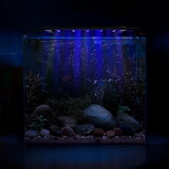 Fish Tank Light 8W Full Spectrum USB Aquarium Light with Timer, Adjustable Extendable Bracket for 30-45CM Aquarium [Energy Class F]