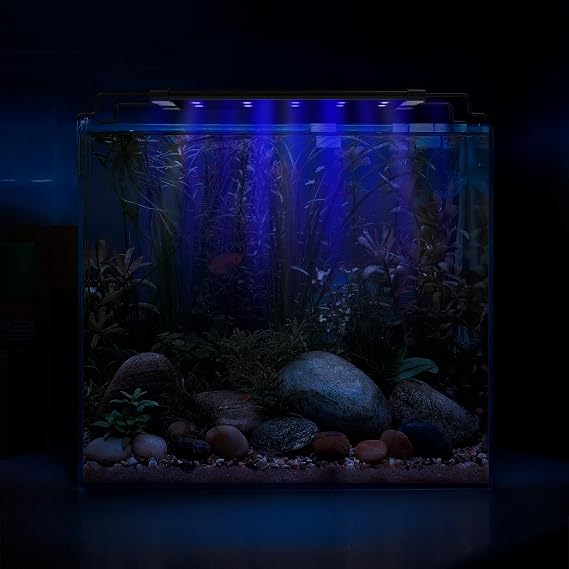 Fish Tank Light 8W Full Spectrum USB Aquarium Light with Timer, Adjustable Extendable Bracket for 30-45CM Aquarium [Energy Class F]