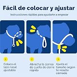 Ver la foto 7
