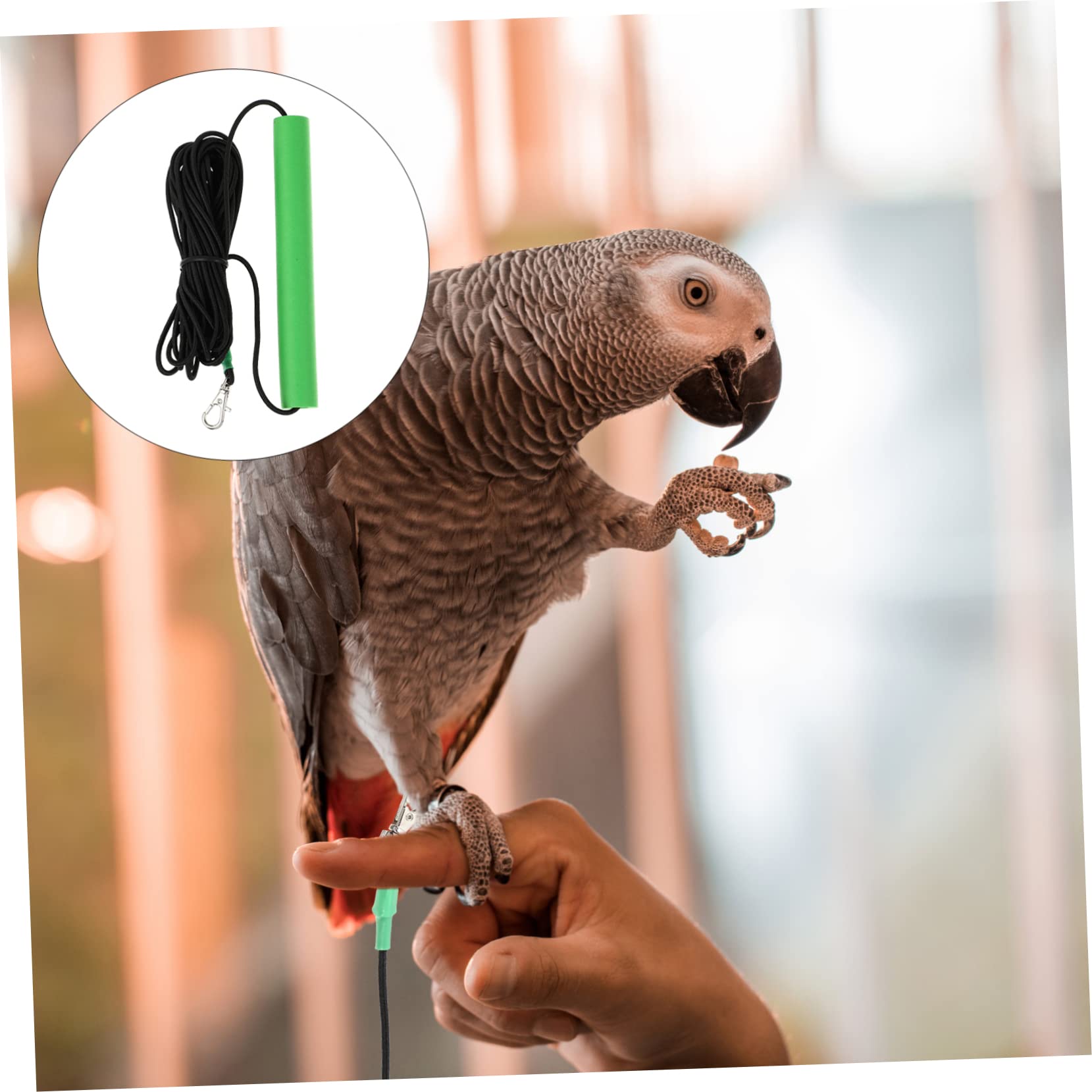 Correa de Arnés para Pájaros y Cuerda Ligera para Mascotas de Usar para Paseos y Actividades Libre Moderada