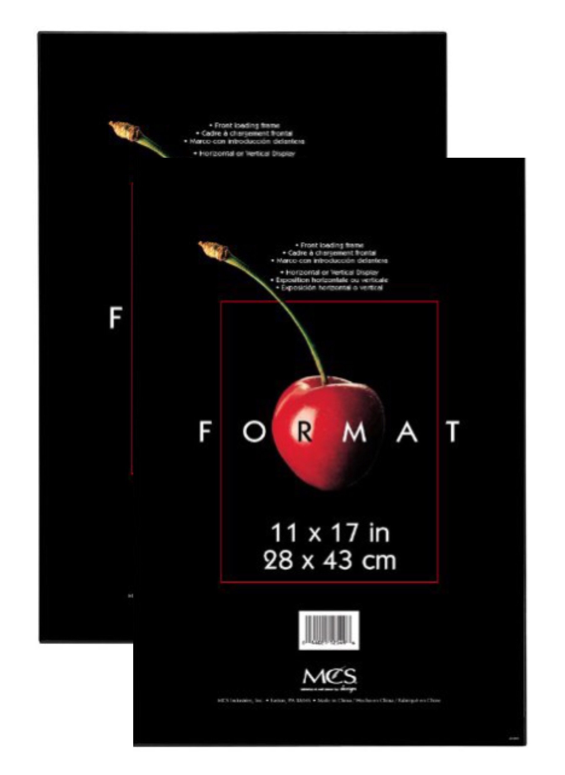 MCS Plastic Format Frame for a 11