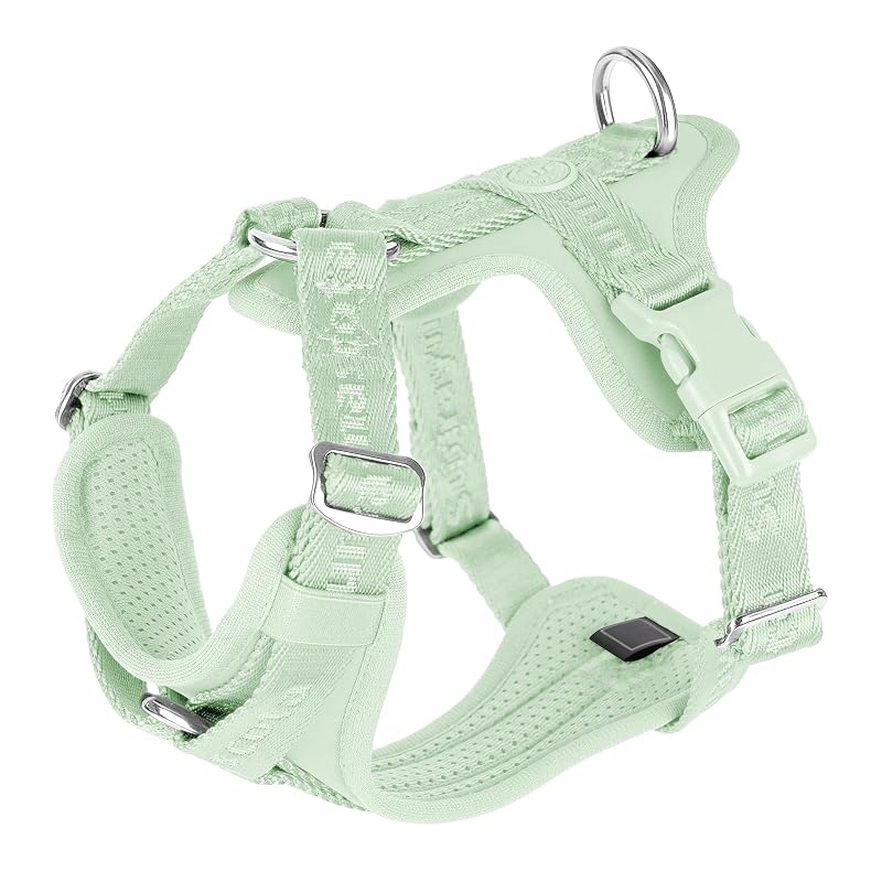 Peitoral Vest para Cães em Poliéster com Ajuste e D-Ring Sunraymascota, Verde-claro, L