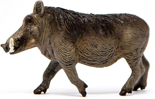 Miniatura 4 de Schleich Wild Life - Figura de juguete Warthog de 3 pulgadas. Juguetes duraderos y realistas de animales de jabalí para niños y niñas. Figura