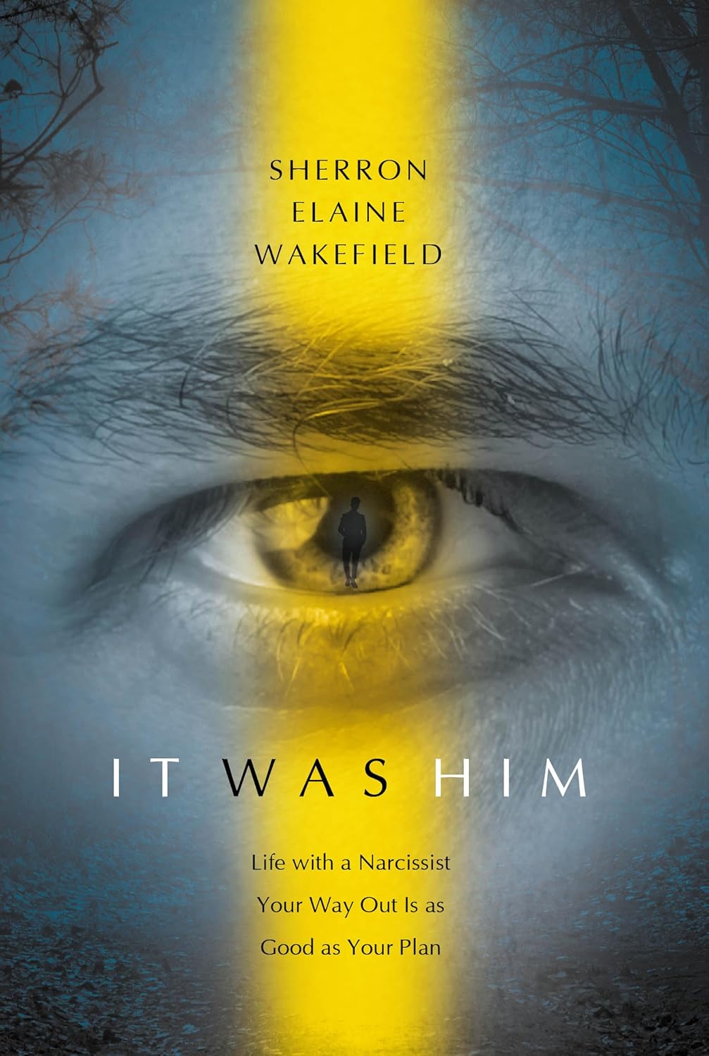IT WAS HIM: Life with a Narcissist Your Way Out Is as Good as Your Plan      Kindle Edition