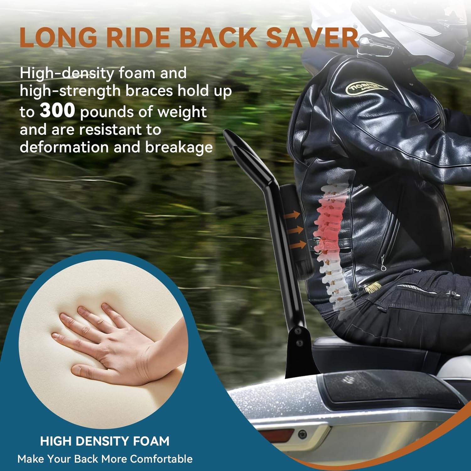 Sissy Bar for Harley Touring, Detachable Motorcycle Passenger Backrest Compatible with Harley Davidson 2009-2024 Touring Street Glide Road Glide Road King Electra Glide CVO Ultra