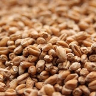 Weyermann Pale Wheat Malt 10 lb