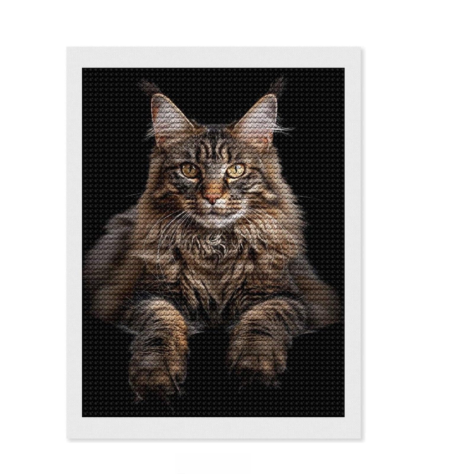 Junmoney Maine Coon Full Drill Diamond Painting Kit 12"x16", Relaxing DIY, Stress Relief Craft, Relaxing Handmade Project, Modern Decor