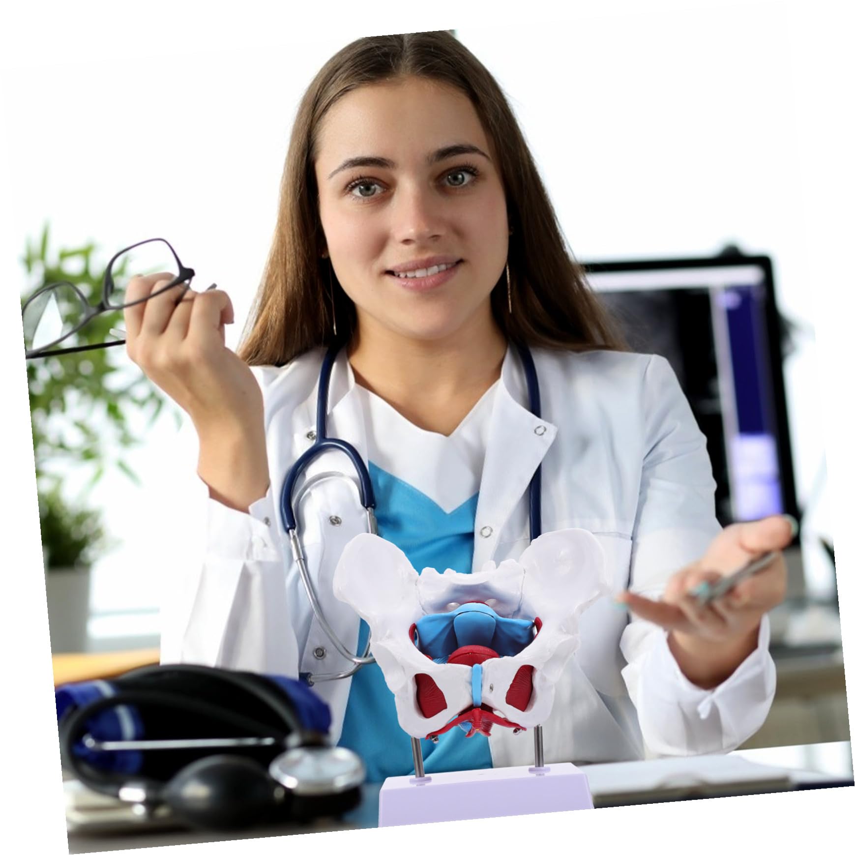 Modello Pelvico Femminile in Pvc Separabile, Modello Anatomico Muscolare del Pavimento Pelvico per Insegnamento Medico e Dimostrazioni, Strumento Didattico Portatile per Scuole