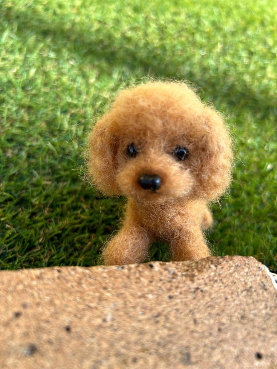 羊毛フェルト トイプードル ハンドメイド 犬 チワワ make a 羊毛