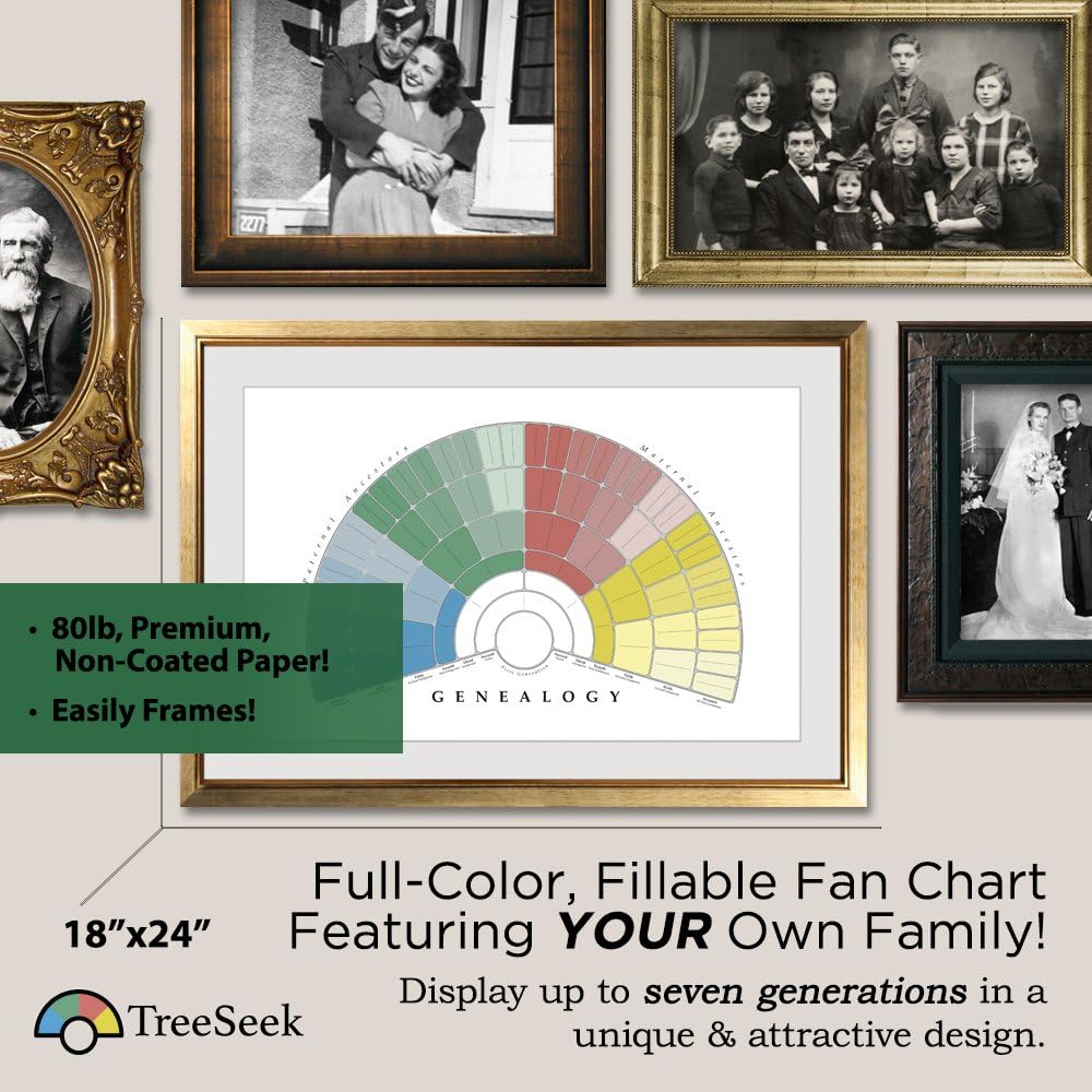 TreeSeek Family Tree Wall Poster Fan Chart | Large Colored Blank Fillable Genealogy Pedigree Form for Ancestry and Family History Research Work | Print Decor