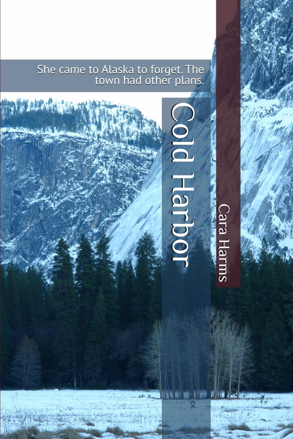 Cold Harbor: She came to Alaska to forget. The town had other plans. (The Cold Latitudes Series)