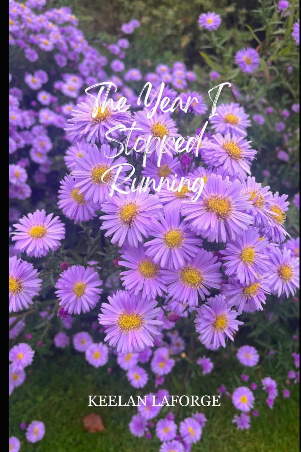 The Year I Stopped Running