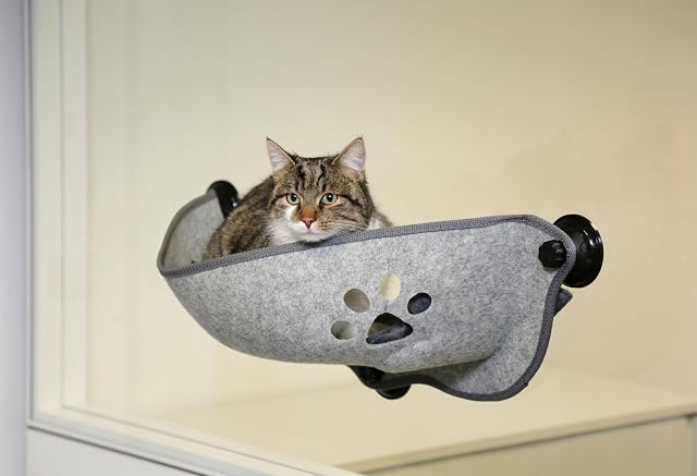 Foto 5 de 6 de Kerbl Pet Cama con Ventana Filzinos, Cama para Gatos, Gris, 70x26x26cm, Fieltro, poliéster, plástico