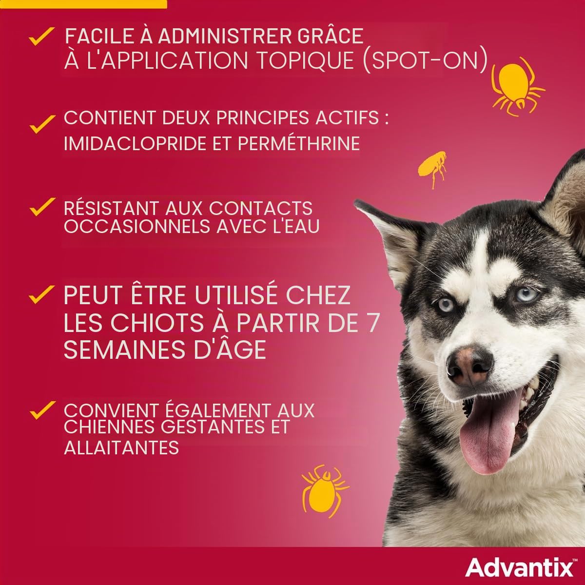 Bayer advantix x chiens 4-10 kg - 4 pipettes