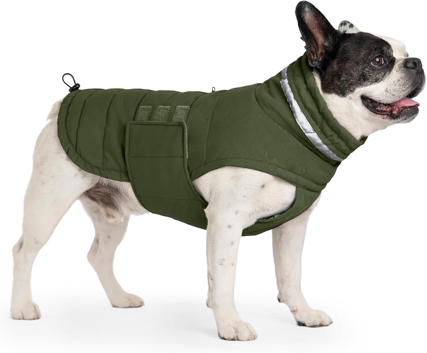 Dog Coat, Waterproof Winter Jacket, Warm Windproof Jacket, Reflective Adjustable Turtleneck Coats for Medium Dogs with Hook & Loop - Green - M