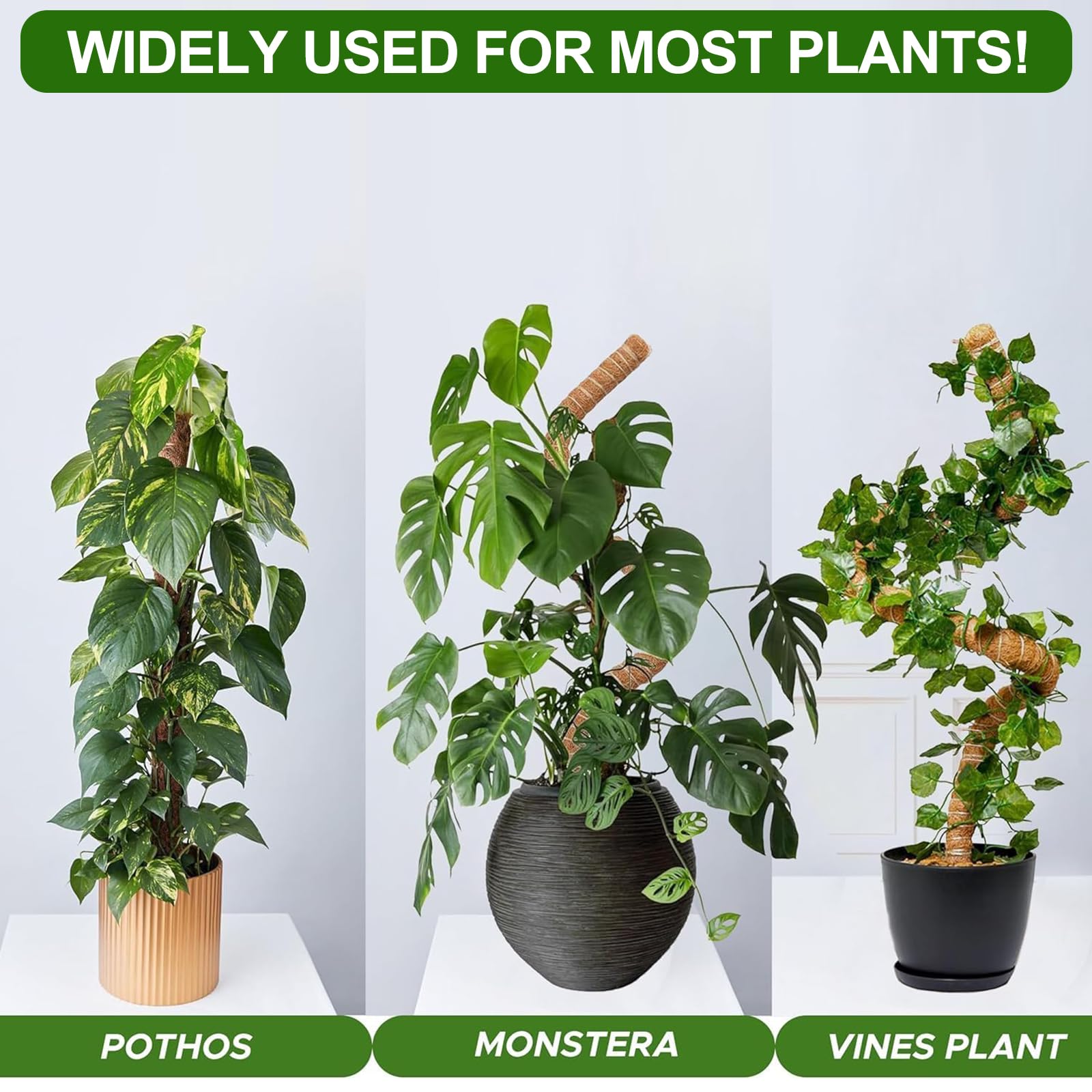 Tutor Monstera para Plantas Trepadoras 125cm - Soporte Plegable de Fibra de Coco, Palo de Tótem Apilable con Musgo Artificial para Enredaderas, Estacas de Coco Natural