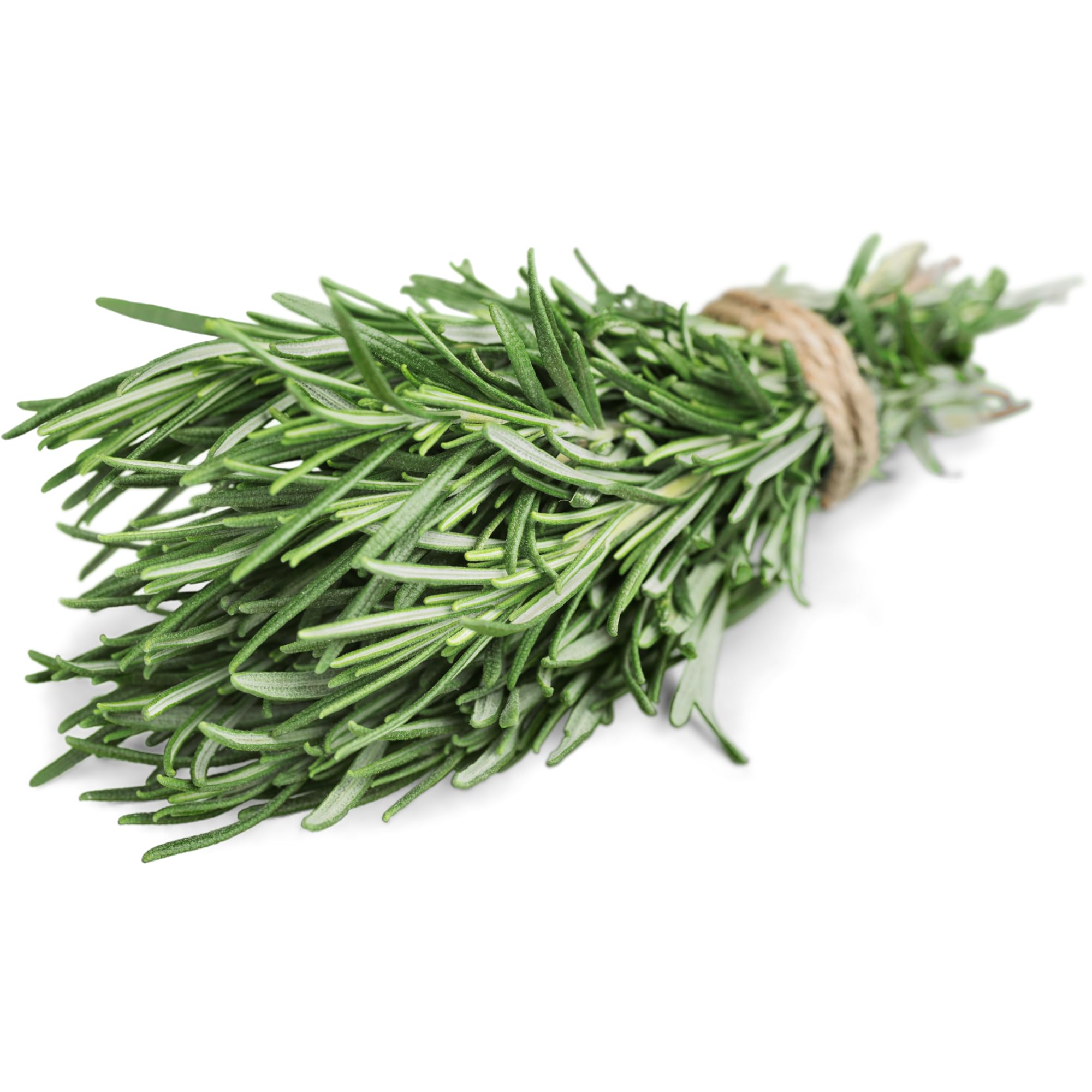 TitanBird 1kg Feuilles de Romarin Sauvage Entières Séchées - Très Aromatique Comparés au Romarin Cultivé, Séchés au Soleil, 100% Naturel, Qualité Supérieure