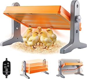 Pet Supplies