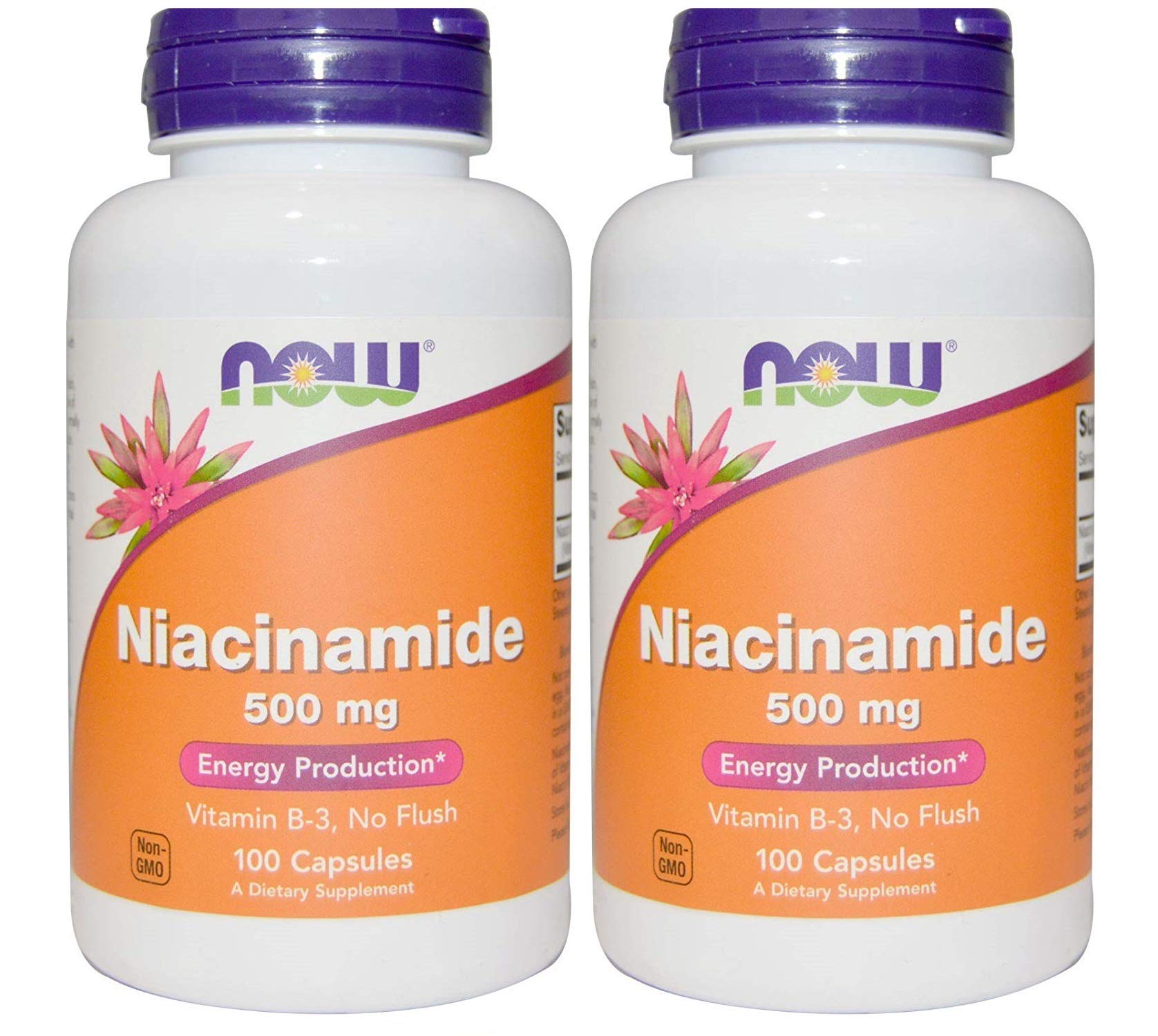 ２本 ナイアシンアミド Vitamin B-3 500mg 100粒 Naicinamide Now foods ナウフーズ [並行輸入品]
