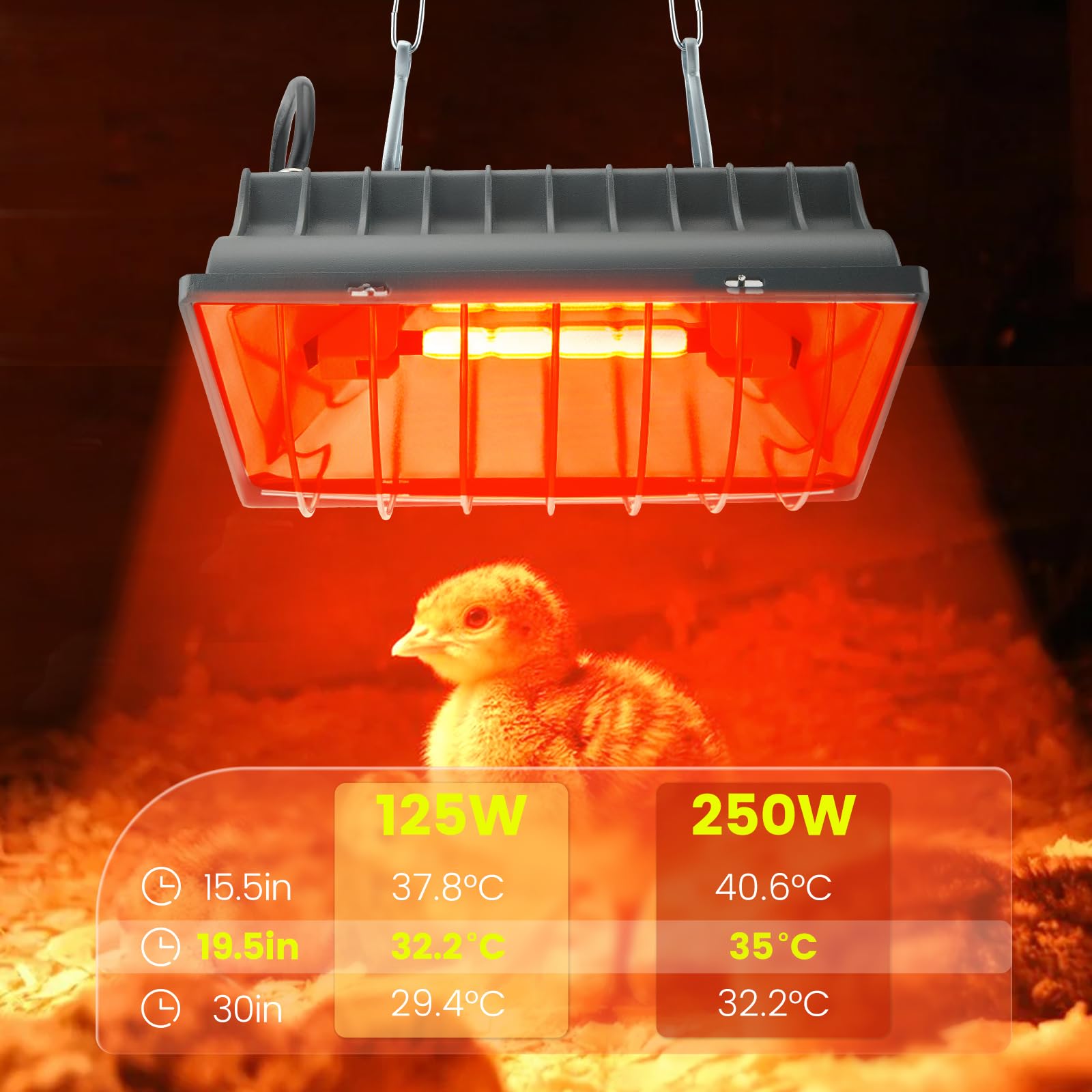 lampara de calor para pollos 250 W, bombilla calor pollitos, criadora de pollitos, con interruptor de ahorro, cable de 1,8 metros, calefactor infrarrojos con termostato automático, para gallinas, pato