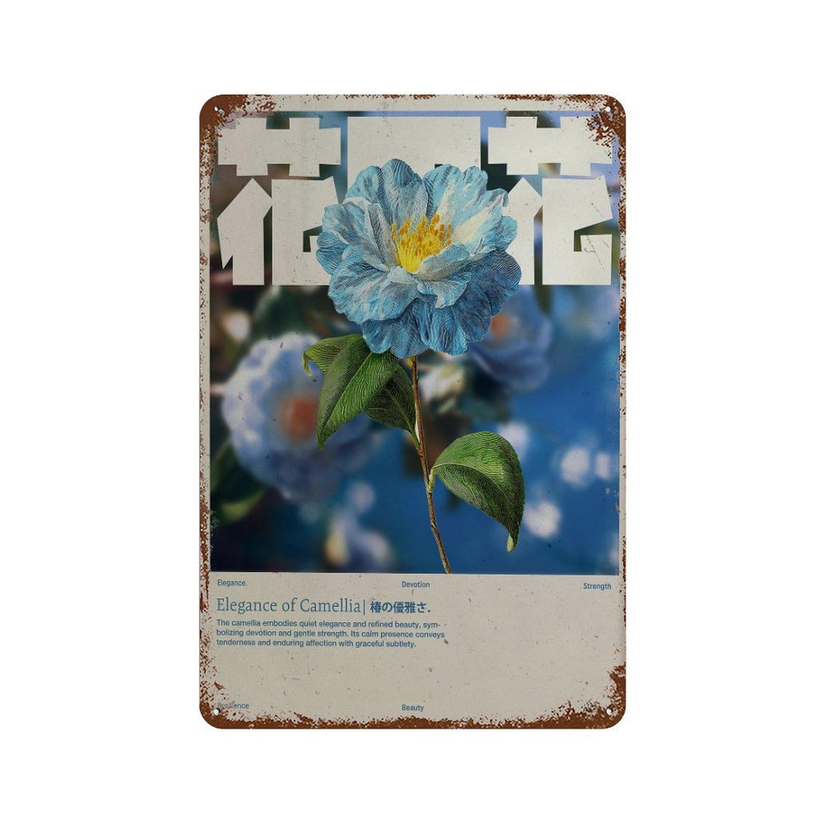xiaoxiaoshen Camellia Flower. Botanical Y2k Indie Wall Decor Art Metal Tin Poster Modern Home Decor Art Home Bar Shop Decorations Vintage Sign 30x20cm