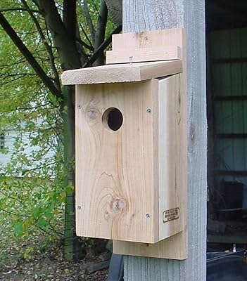 Bird Houses by Mark Downy Woodpecker House