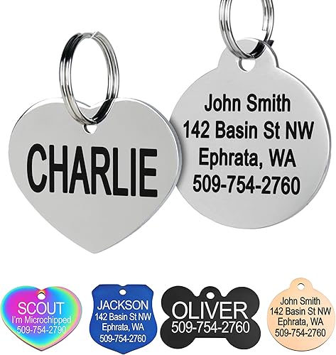 Placa de identificación para mascotas, de acero inoxidable, etiquetas personalizadas para perros y gatos, hasta 8 líneas de texto personalizado,
