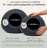 Ver la foto 2