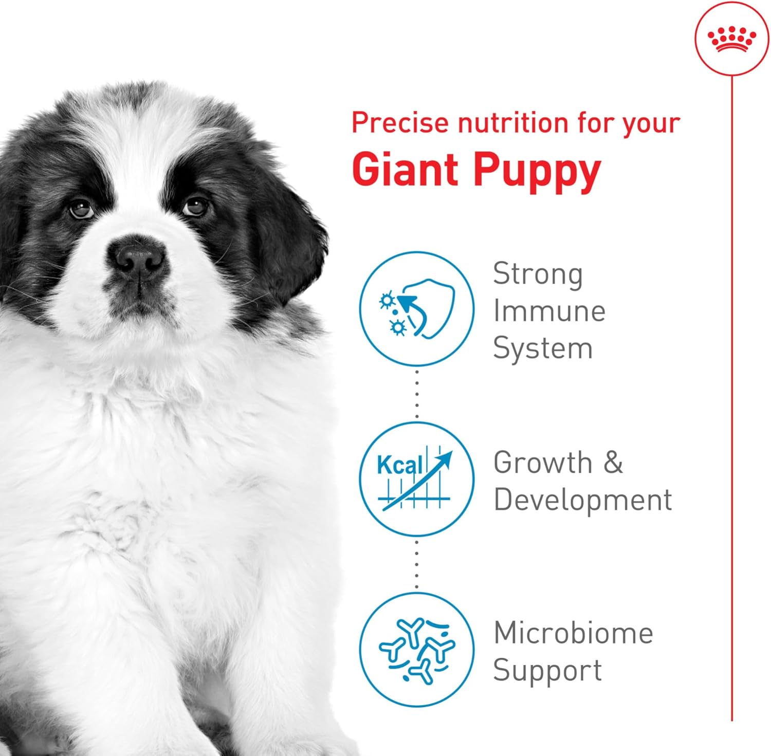 Royal Canin Size Health Nutrition Giant Puppy Dry Dog Food, 30 lb Bag