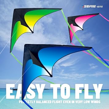 Delta Kite set for Kids and Adults, Extremely Easy to Fly for Beginners, Kites for Beach Trips and Parks Family Outdoor Games and Activities