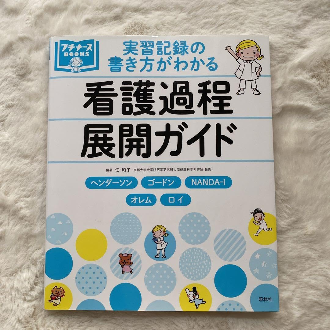 メンテ済み 中古 美品 ピグマリウス バイオリン 4/4 Pygmalius DV-90