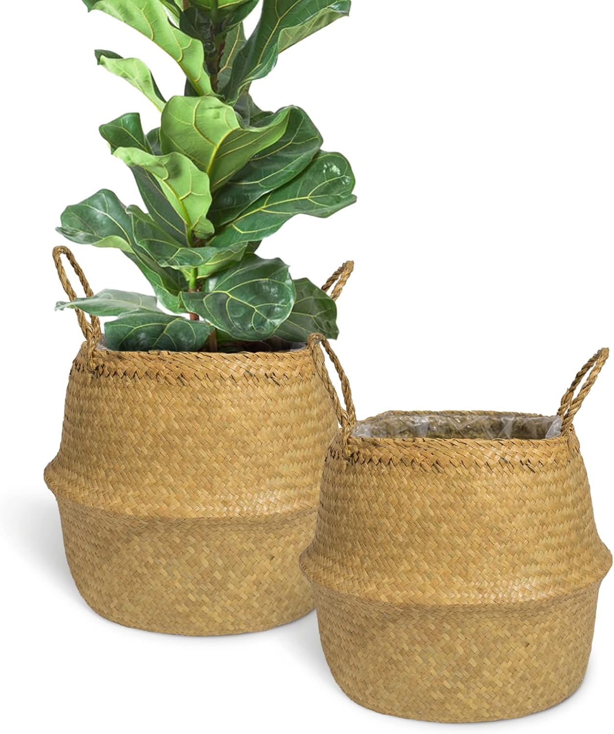 GAIAMADE Set of 2 Woven Seagrass Basket with Handles and