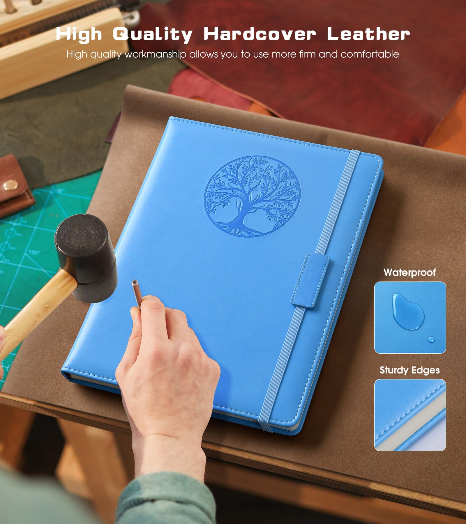 View 3
