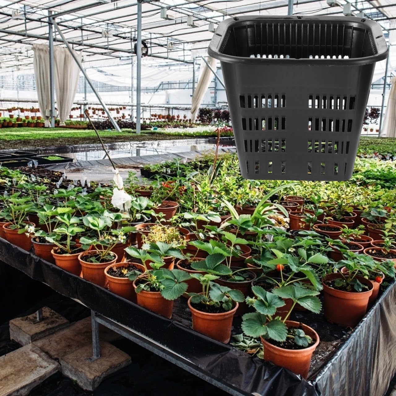 Yardwe Root Control Basin Square Net Pot 5.38 Inch Thickened Plastic Hydroponic Plant Basket for Root Growth and Water Cultivation